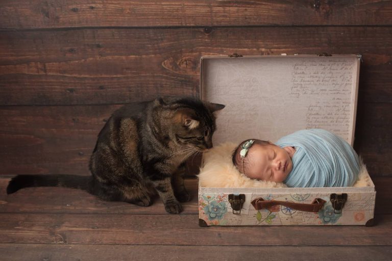 DIY vs. Professional Newborn Photography: What’s Best?