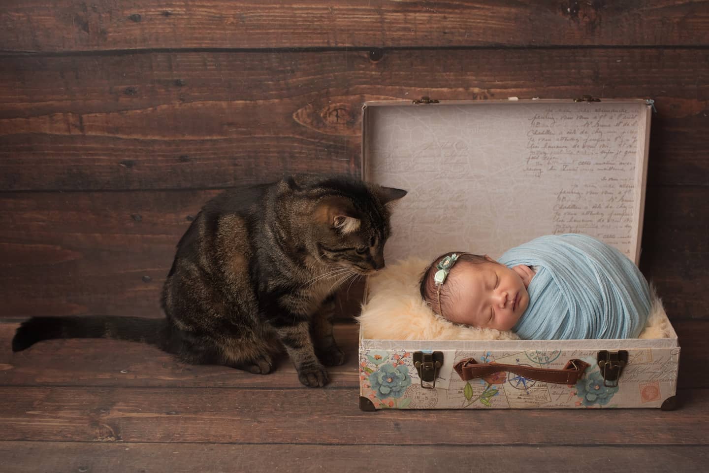 DIY vs. Professional Newborn Photography: What’s Best?
