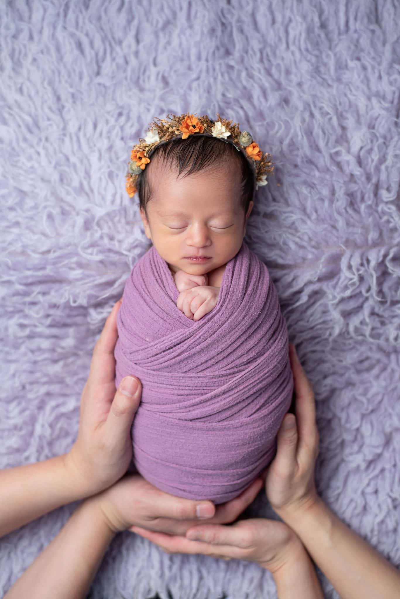 Newborn baby girl wrapped in lavender swaddle and gently supported by parents during a Toronto newborn photography session