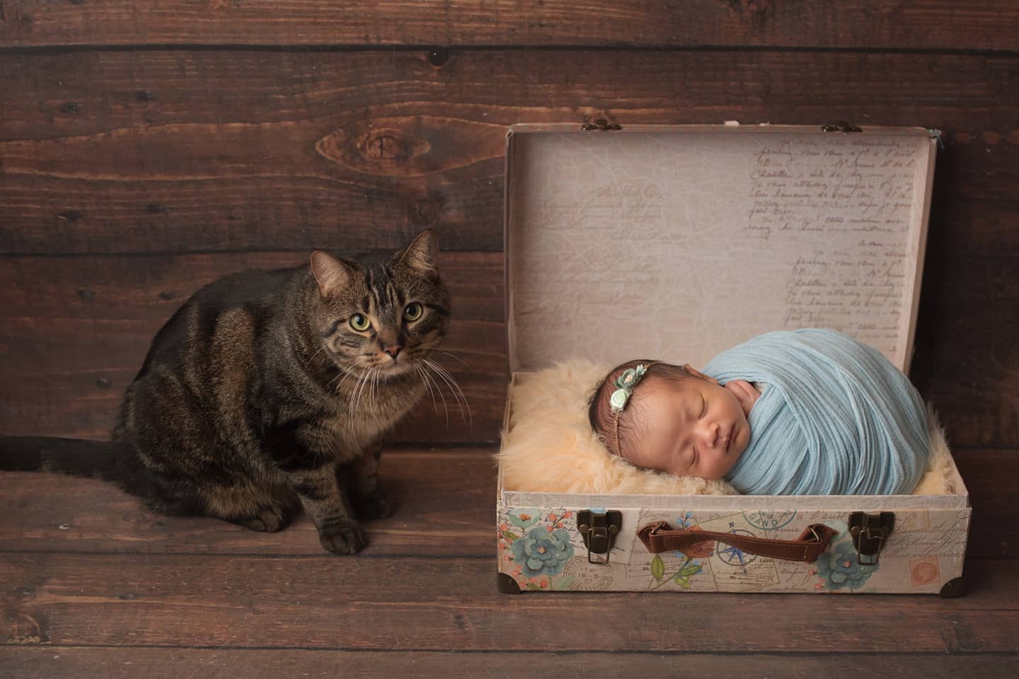 Baby in a vintage suitcase with a cat, Mississauga newborn photography