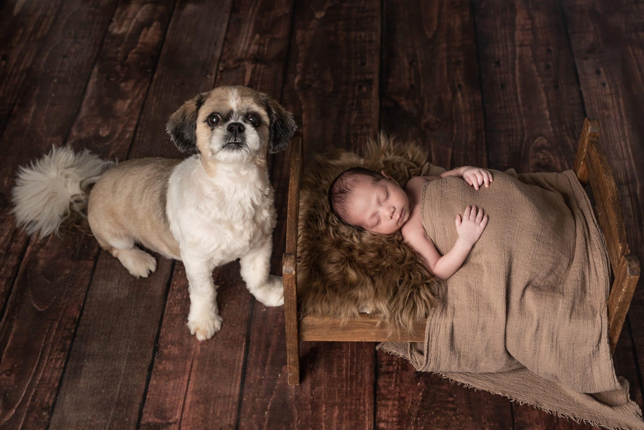 Adorable newborn photoshoot Mississauga with a baby sleeping beside a cute dog, captured by a skilled newborn photographer Mississauga.