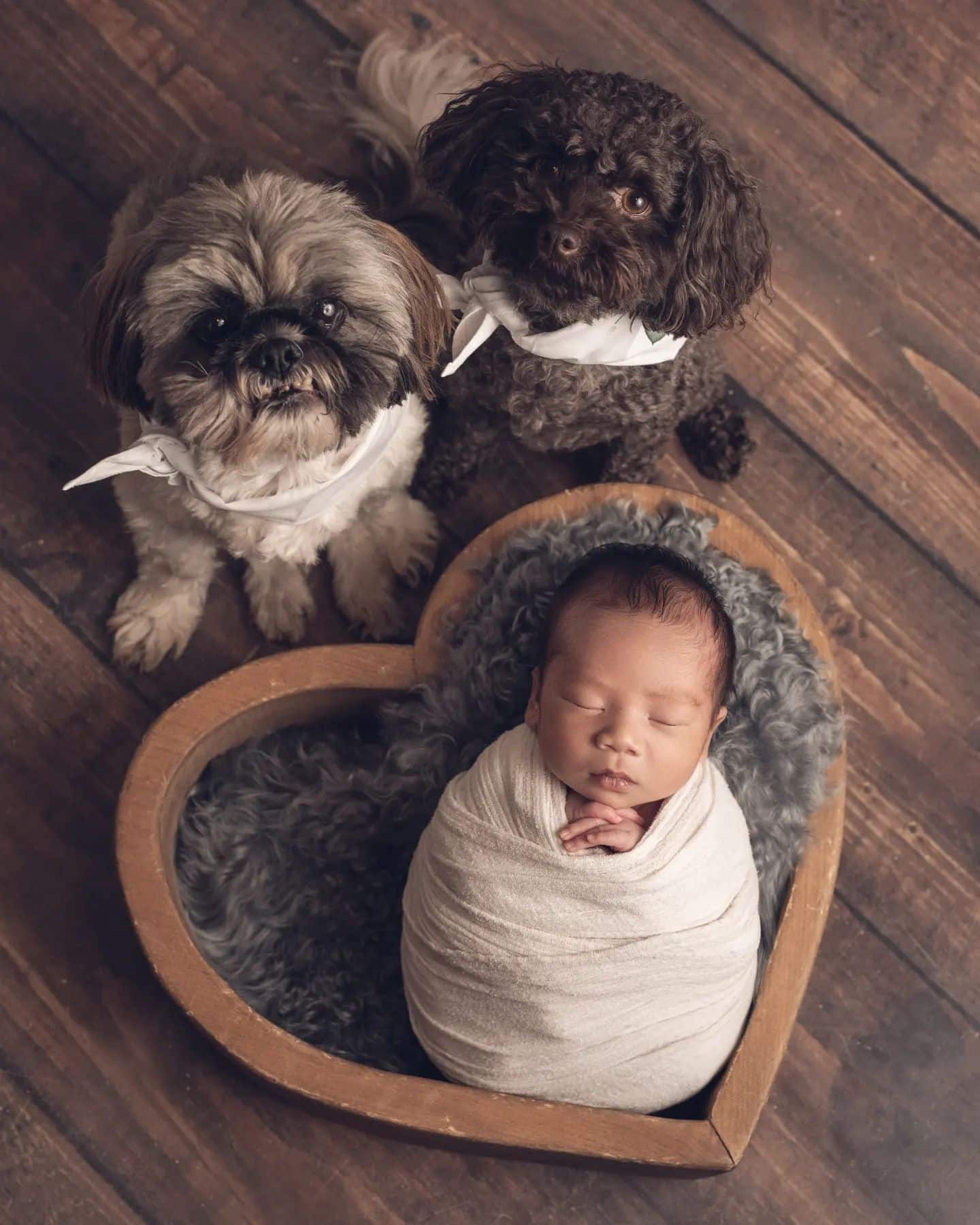 Newborn photography Mississauga – baby resting with family dog in cozy lifestyle newborn session